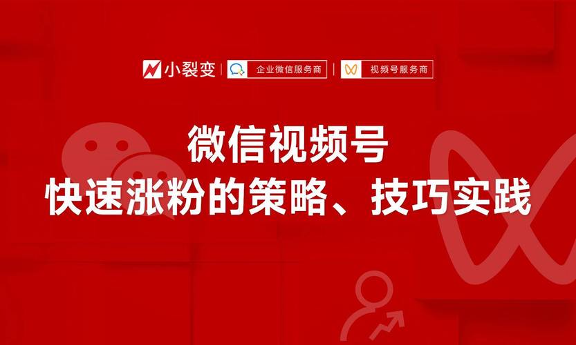 **标题：视频号刷粉新选择：一分钟揭秘高效增粉平台！**
