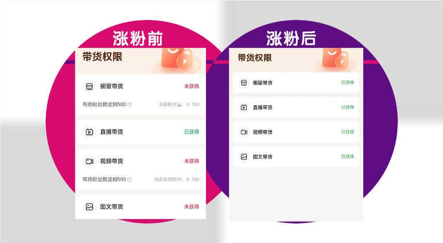 **揭秘网红背后的增长秘籍：如何高效购买抖音粉丝**