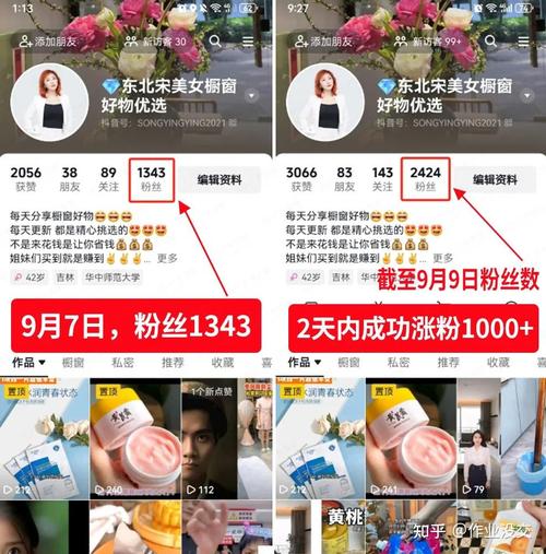 抖音粉丝购买实战指南：让你轻松成为网红