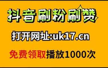 **标题：揭秘高效刷粉平台，视频号火爆不再难！**