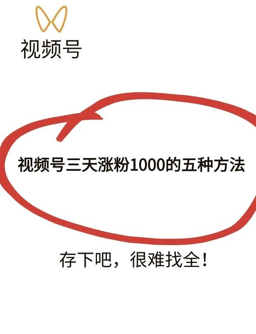 **揭秘视频号刷粉平台：真相令人震惊！**