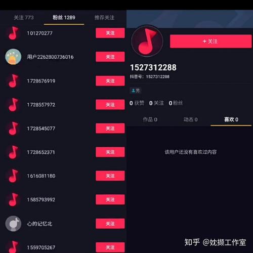 抖音粉丝自助购买，打造个性化热门账号