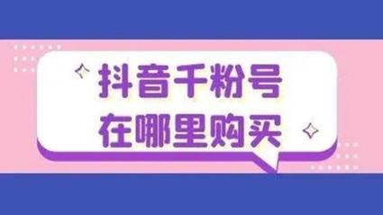 粉丝力量大无边，抖音自助平台助你粉丝破千