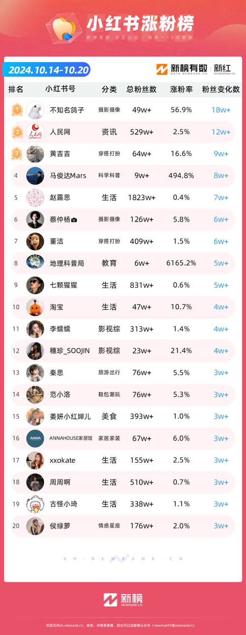 揭秘快手刷粉：如何构建可持续的粉丝增长策略？