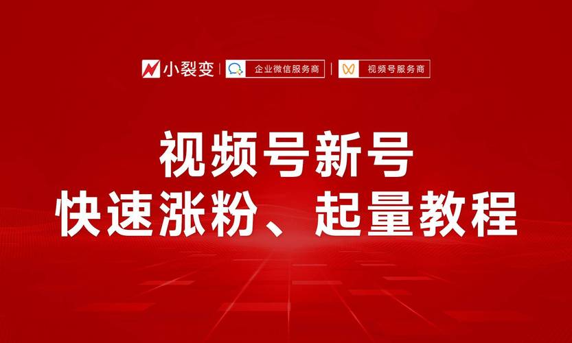 **标题：揭秘视频号涨粉秘籍，轻松实现粉丝飙升！**