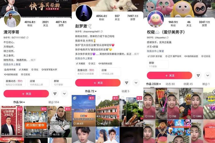 快手网红养成记：真人刷粉网站功不可没
