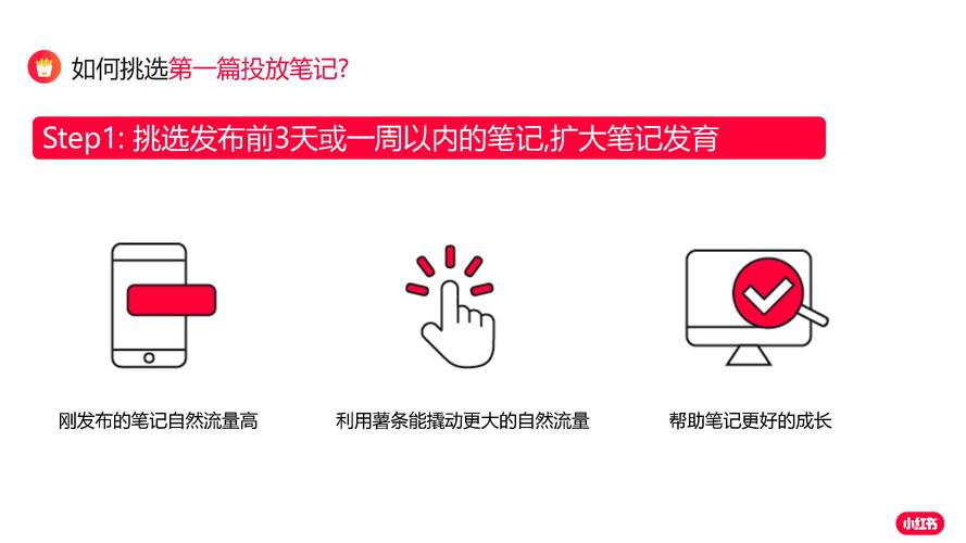 深入了解小红书刷粉平台功能特点，让粉丝增长触手可及！