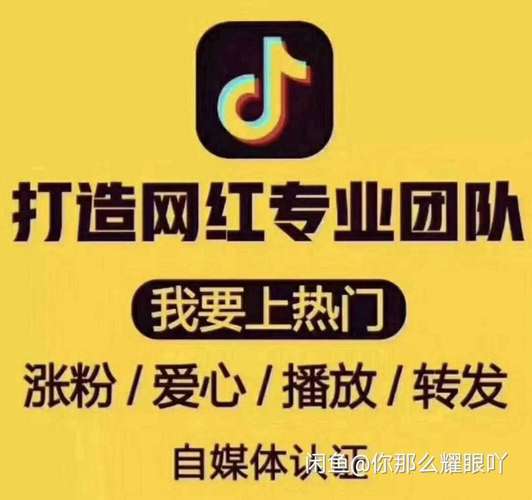 快手刷粉软件，助你成为短视频达人