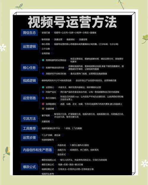 **视频号吸粉秘诀：千粉轻松揽，内容为王策略全解析**