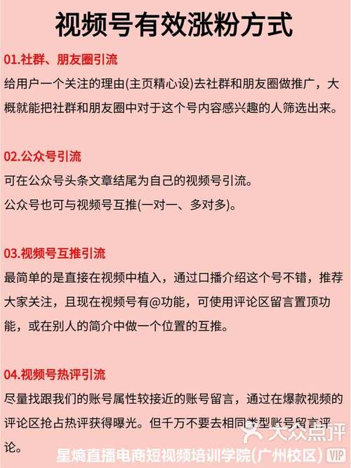 **标题：从零突破：视频号快速累积并巩固1000有效粉丝的秘诀**
