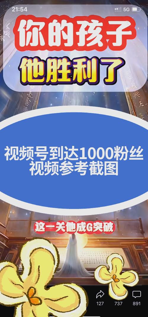 **视频号人气飙升秘籍：轻松斩获1000有效粉**