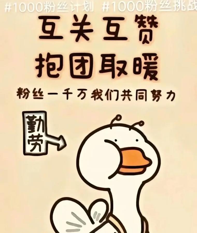 **标题：视频号吸粉秘籍：轻松斩获1000粉的六大策略！**