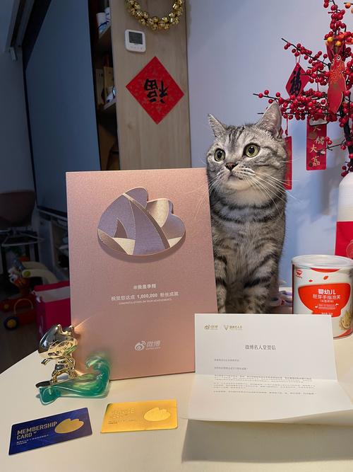微博粉丝自助平台助力你的内容传播，让更多人看到你的声音！