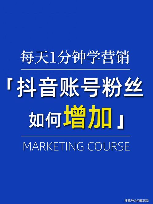 **标题：抖音1000真实粉丝养成记：从零到网红的蜕变之旅**