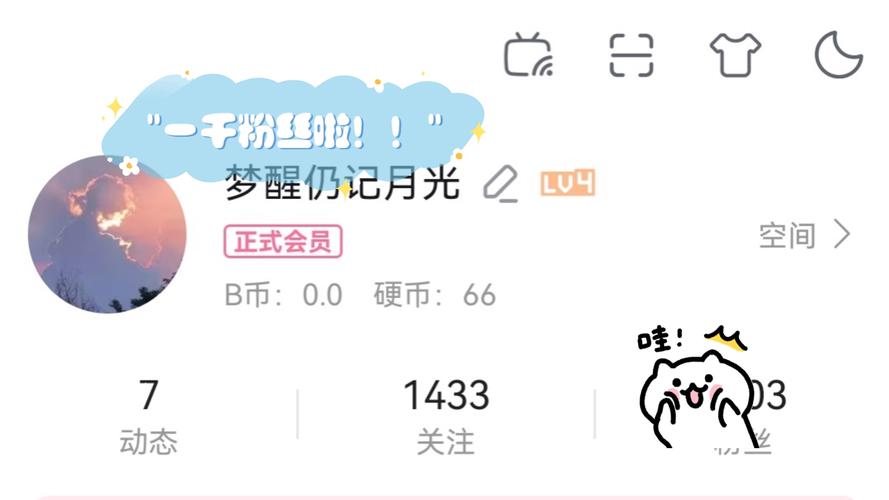 **标题：揭秘小红书“一元千粉”计划，粉丝飙升不再是梦！**