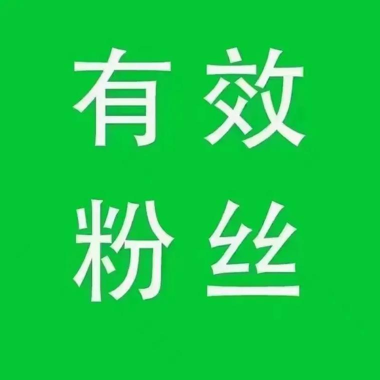 **从零到网红之巅：小红书粉丝助力实现梦想飞跃**