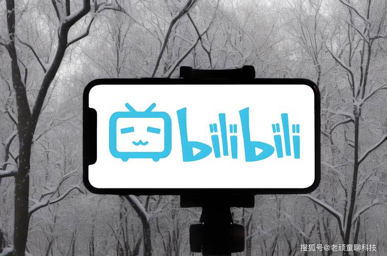 揭秘bilibili人气背后的秘密武器：高效刷赞网站!