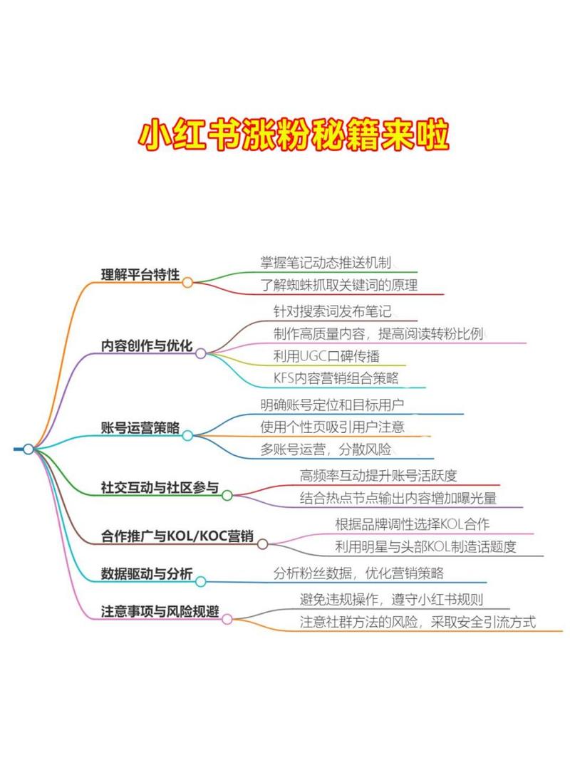 **小红书涨粉秘籍大揭秘：顶级软件横向对比，助你选出涨粉神器！**