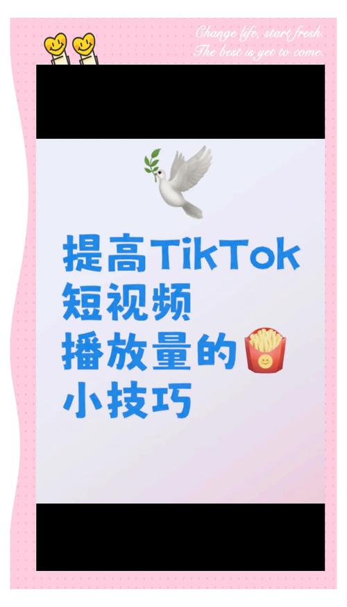 **B站创作者必看：揭秘免费提升视频播放量的独门秘籍！**