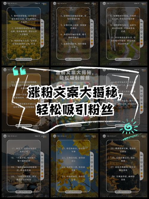**标题：视频号粉丝破千攻略：这样做，人气飙升不是梦！**