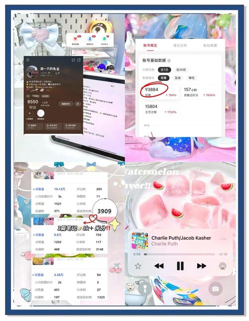 小红书粉丝购买指南：新手必看