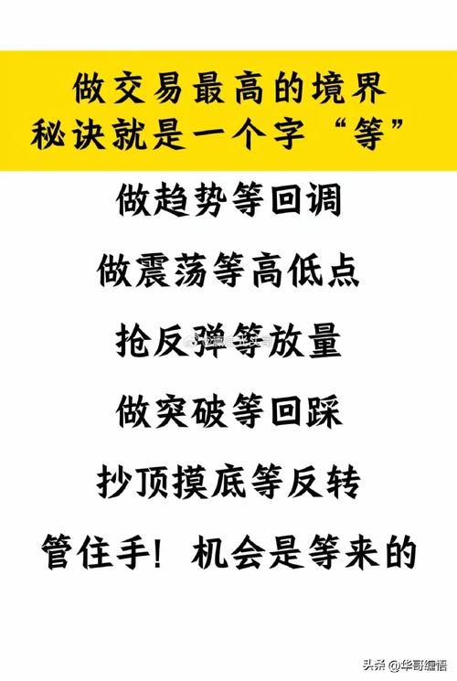 **揭秘成功秘诀：视频号粉丝破千的独门秘籍**