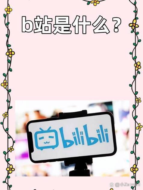 **标题：哔哩哔哩代刷网站：打造你的B站明星之路！**