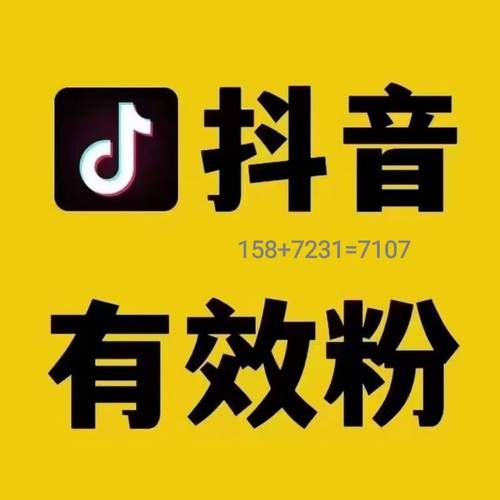 **500抖音粉丝助力成长，点燃短视频创作激情**