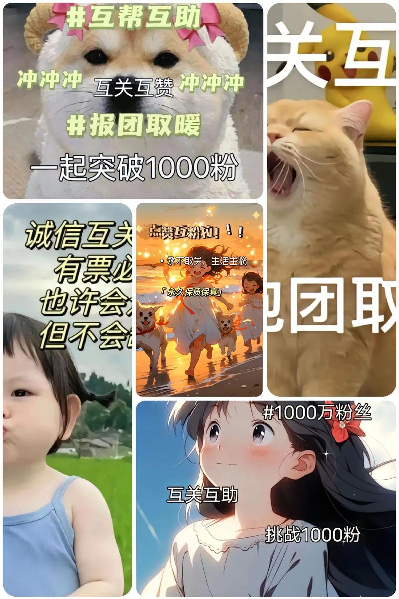 **标题：揭秘抖音粉丝增长新策略：一元秒增1000粉丝，打造网红新捷径！**