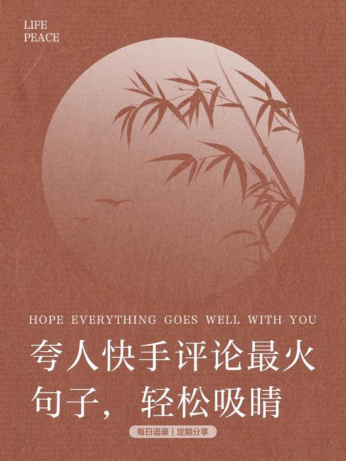 轻松快手刷点赞，让你的作品火遍快手平台