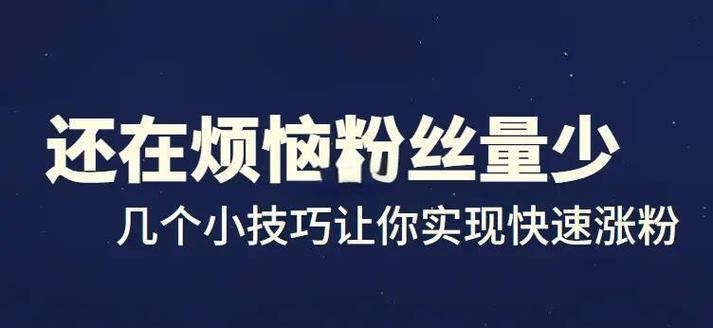 新手也能快速涨粉？揭秘快手电脑版刷粉软件的神奇之处！