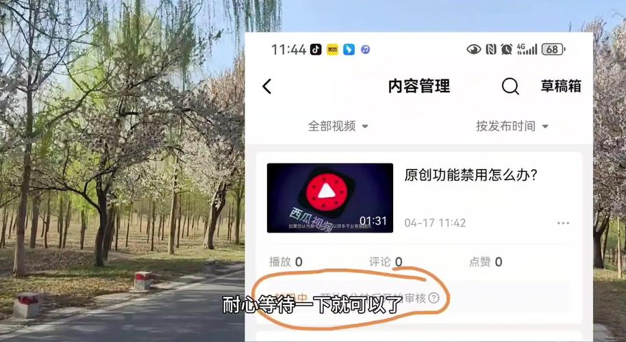**揭秘B站播放量增长秘籍：让你的视频轻松走红！**