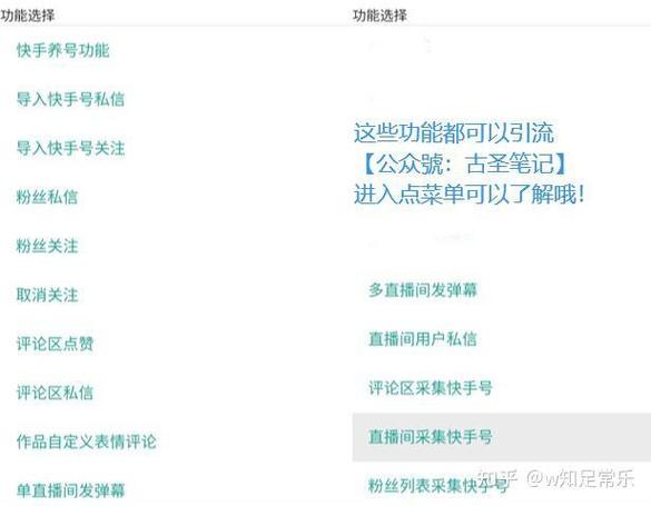 **标题：快手吸粉秘籍大公开：专业网站教你如何快速成为网红大咖！**