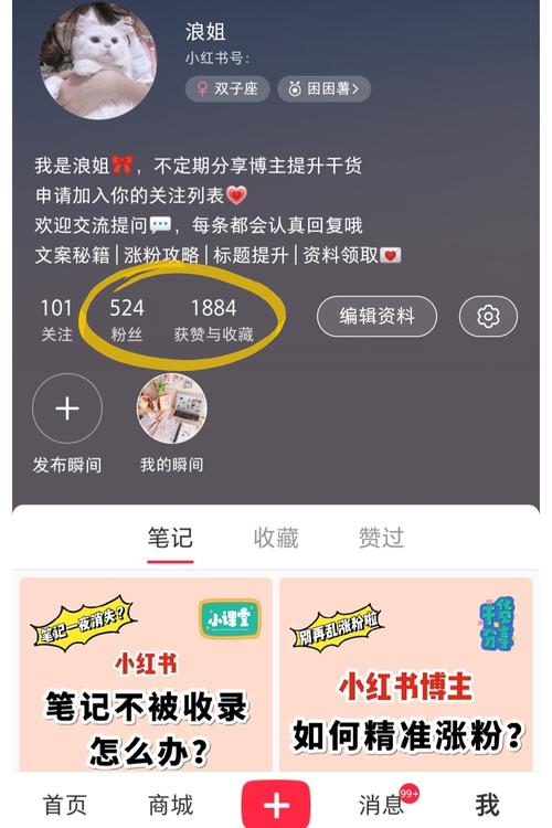 小红书粉丝自助下单，让你的账号更受欢迎
