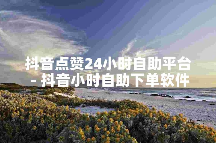抖音自助下单粉丝，助力短视频创业成功