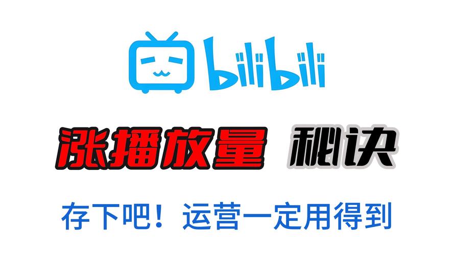 **揭秘行业内幕：B站视频播放量飙升的神秘武器！**