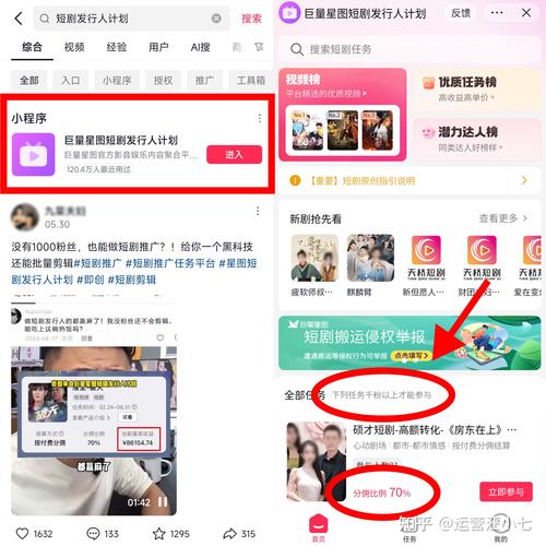 **揭秘抖音粉丝快速增长的秘籍：正规途径助你名利双收**