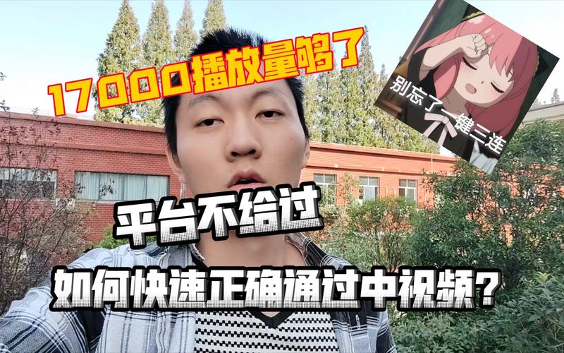 快速提升视频人气的小妙招：使用专业的刷播放量平台助力你的作品在Bilibili上走红。