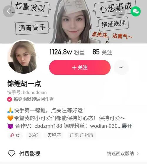 **揭秘快手网红背后的涨粉神器：高效捷径，助你成为人气新星！**