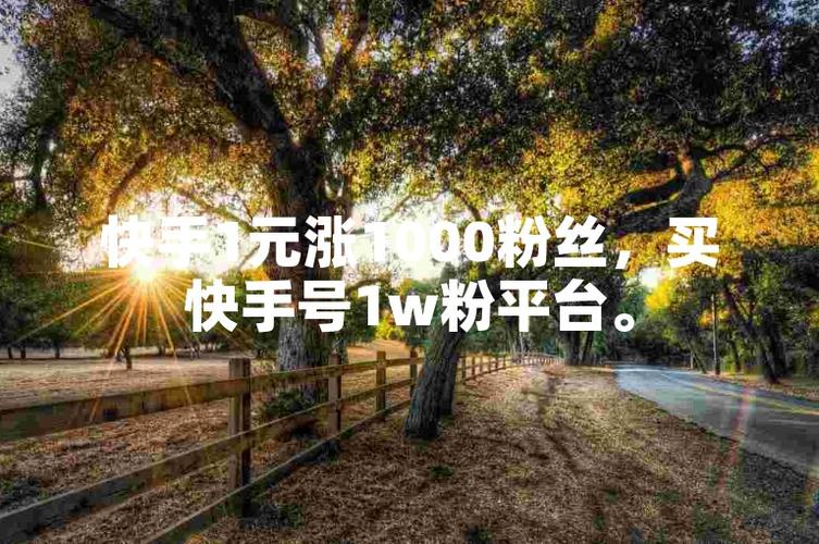 **标题：揭秘高效粉丝增长平台，助你快手账号人气飙升！**