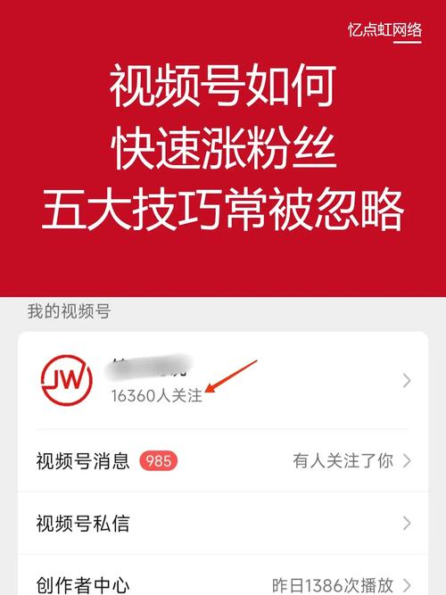 **标题：揭秘视频号涨粉秘籍，轻松实现关注度飙升！**