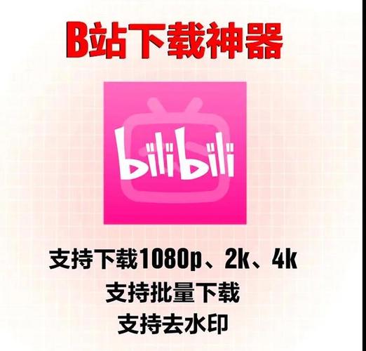 **揭秘神器：利用网站助力，让你的B站视频火爆全网！**