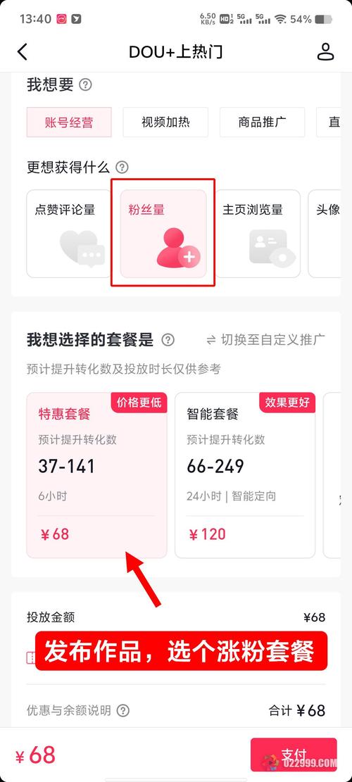 快速吸粉秘籍：抖音粉丝自助下单平台体验