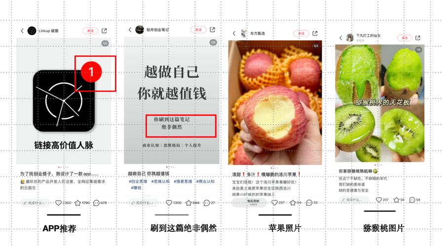 **标题**：小红书关注度提升攻略：实用技巧助你成为热门博主！