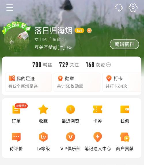 提升微博粉丝量的捷径：自助下单刷粉体验分享！