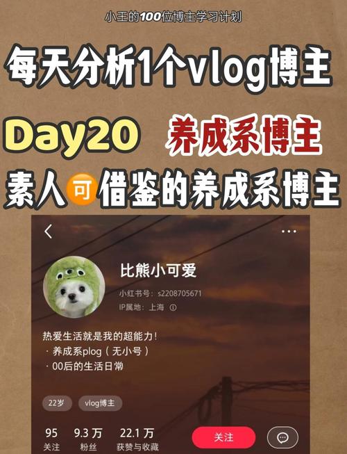 **标题：《从素人到网红：我在小红书的涨粉之旅与心得分享》**