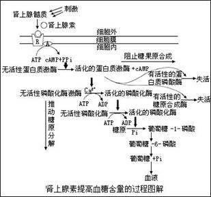 深度解析：微博刷粉网的背后原理和作用机制