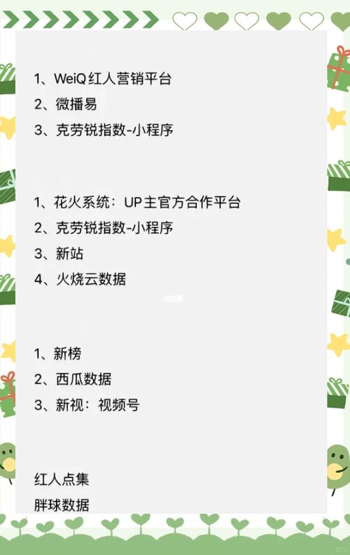 从零起步成为网红达人：小红书买粉丝平台的实战指南
