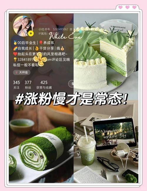 微博粉丝增长术：自助刷粉策略揭秘。