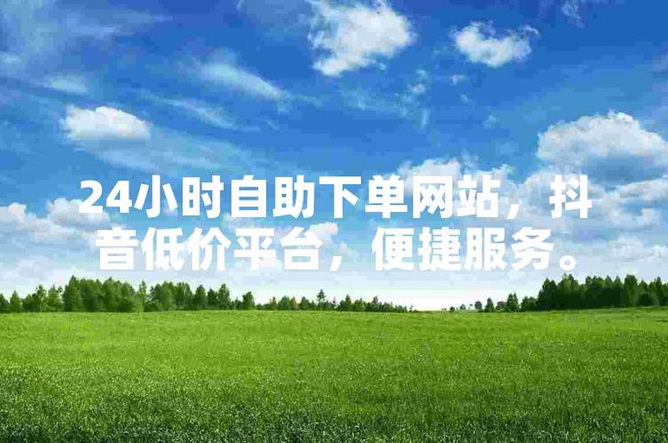 抖音自助下单平台网站，购物新平台，品质新保障